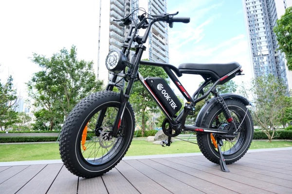 Långa räckvidd på OOK-TEK 1000W elcykel